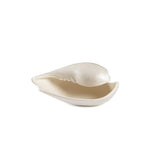 Seashell Plate