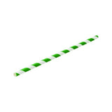 Paper Straw Stripe – 20cm